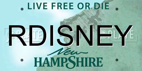 RDISNEY New Hampshire License Plate