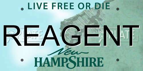 REAGENT New Hampshire License Plate