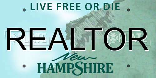 REALTOR New Hampshire License Plate