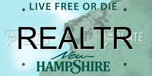 REALTR New Hampshire License Plate