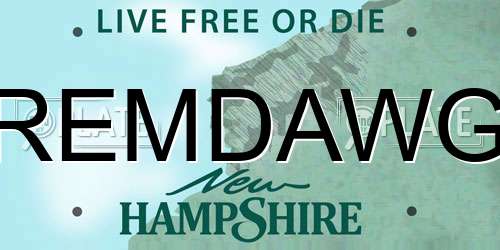 REMDAWG New Hampshire License Plate