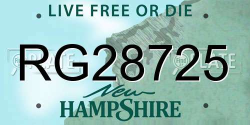 RG28725 New Hampshire License Plate