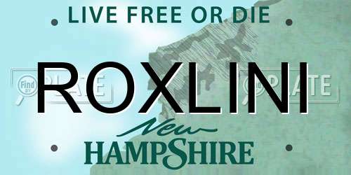 ROXLINI New Hampshire License Plate