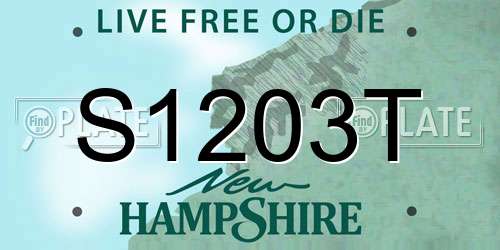S1203T New Hampshire License Plate
