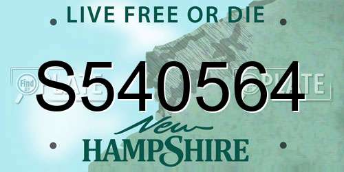 S540564 New Hampshire License Plate