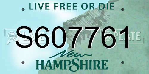 S607761 New Hampshire License Plate
