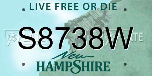 S8738W New Hampshire License Plate