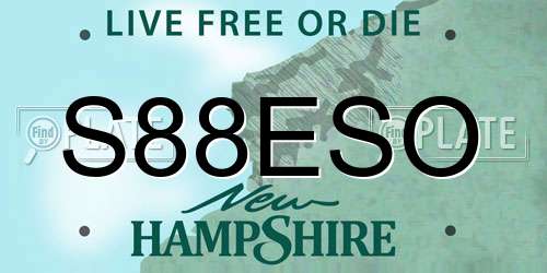 S88ESO New Hampshire License Plate