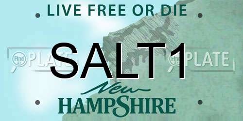 SALT1 New Hampshire License Plate