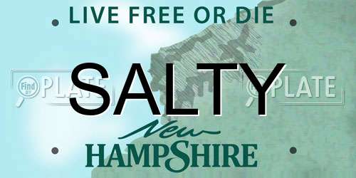 SALTY New Hampshire License Plate