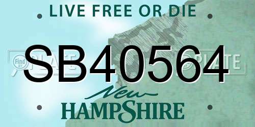 SB40564 New Hampshire License Plate