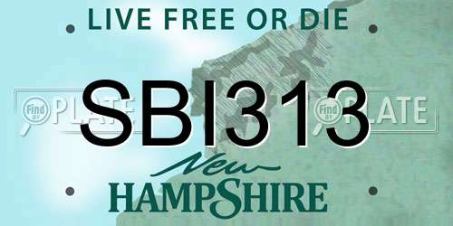 SBI313 New Hampshire License Plate