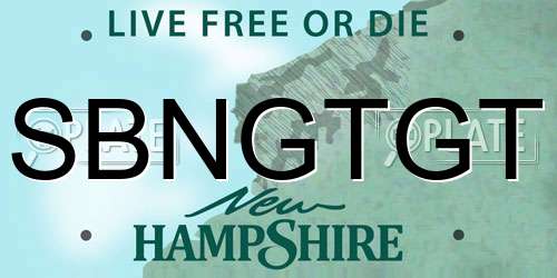 SBNGTGT New Hampshire License Plate