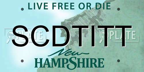 SCDTITT New Hampshire License Plate