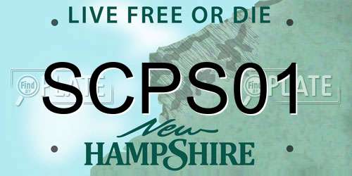 SCPS01 New Hampshire License Plate