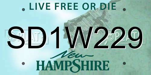 SD1W229 New Hampshire License Plate