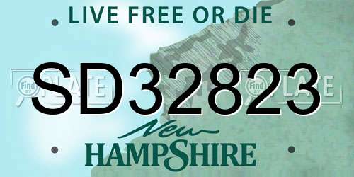 SD32823 New Hampshire License Plate
