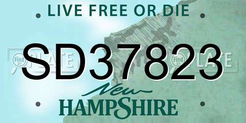 SD37823 New Hampshire License Plate