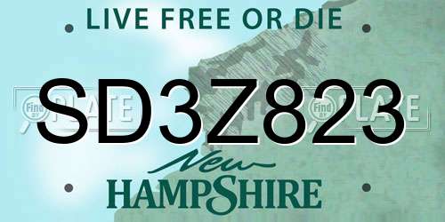 SD3Z823 New Hampshire License Plate