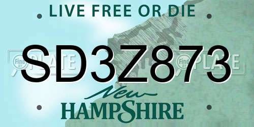 SD3Z873 New Hampshire License Plate