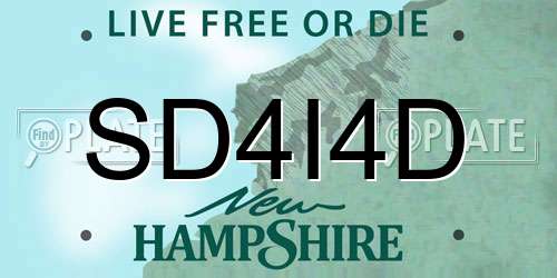 SD4I4D New Hampshire License Plate
