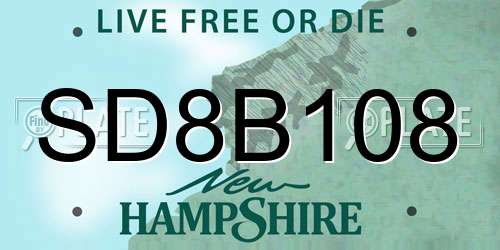 SD8B108 New Hampshire License Plate