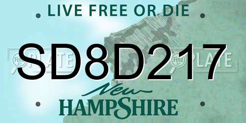 SD8D217 New Hampshire License Plate
