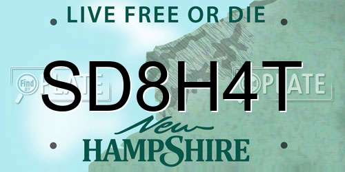 SD8H4T New Hampshire License Plate