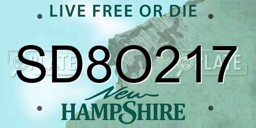SD8O217 New Hampshire License Plate