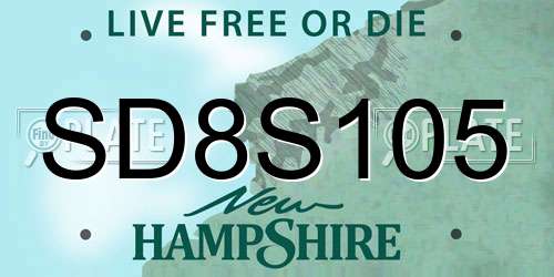 SD8S105 New Hampshire License Plate