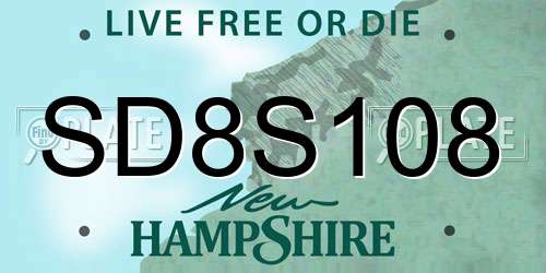 SD8S108 New Hampshire License Plate