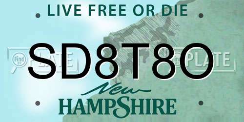 SD8T8O New Hampshire License Plate