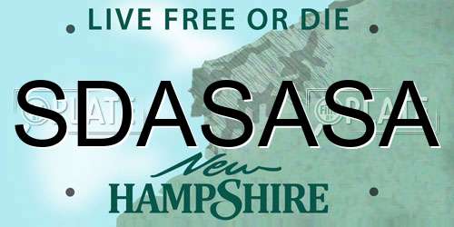 SDASASA New Hampshire License Plate