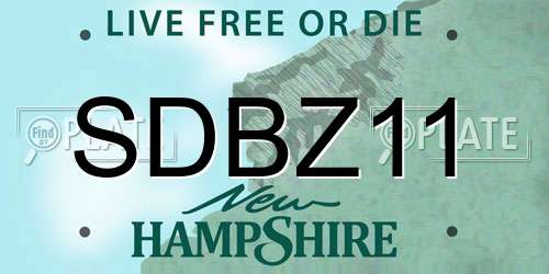 SDBZ11 New Hampshire License Plate