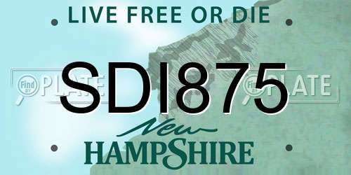 SDI875 New Hampshire License Plate