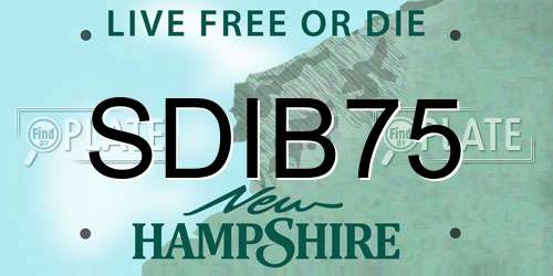 SDIB75 New Hampshire License Plate