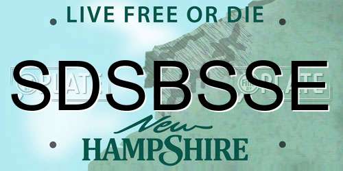 SDSBSSE New Hampshire License Plate