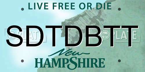 SDTDBTT New Hampshire License Plate