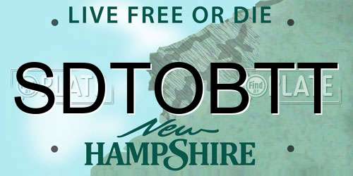 SDTOBTT New Hampshire License Plate