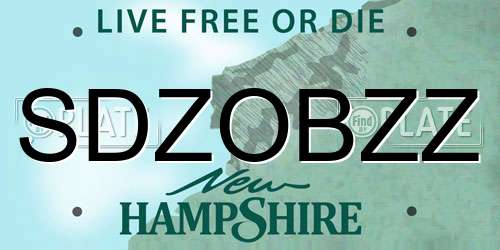 SDZOBZZ New Hampshire License Plate