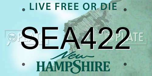 SEA422 New Hampshire License Plate