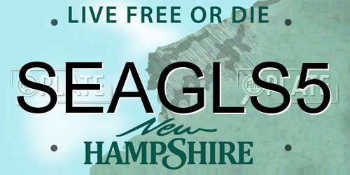SEAGLS5 New Hampshire License Plate