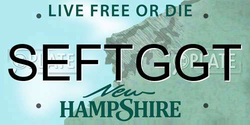SEFTGGT New Hampshire License Plate