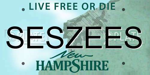 SESZEES New Hampshire License Plate
