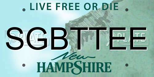 SGBTTEE New Hampshire License Plate