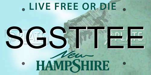 SGSTTEE New Hampshire License Plate