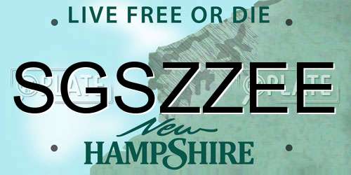 SGSZZEE New Hampshire License Plate