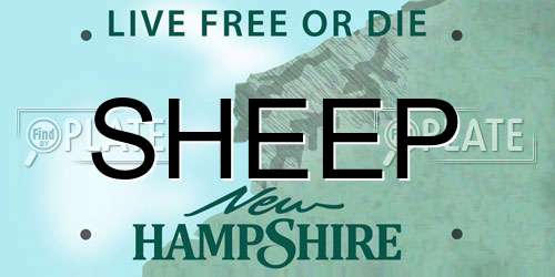 SHEEP New Hampshire License Plate