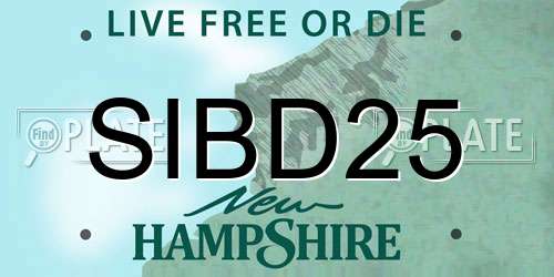SIBD25 New Hampshire License Plate