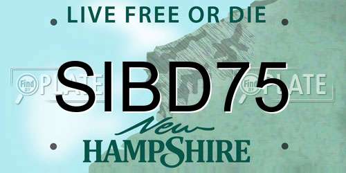 SIBD75 New Hampshire License Plate
